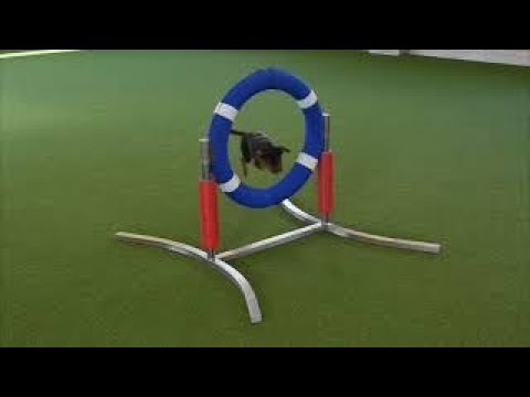 Reifen Soft-99 rahmenlos-gebogene Füße