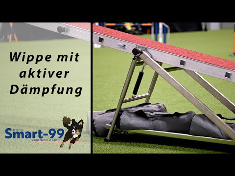 Agility Wippe-99 mit aktiver Dämpfung