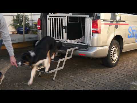 Folding stairs for dogs